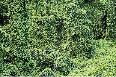 好消息！《寂静岭f》不存在虚幻5常见的卡顿问题