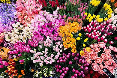 锁定8月24日，《命运2》特别直播节目惊喜来袭！