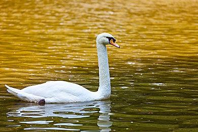 异世界弹珠RPG游戏《漂流佣兵》已于1月12日发布EA抢先体验！